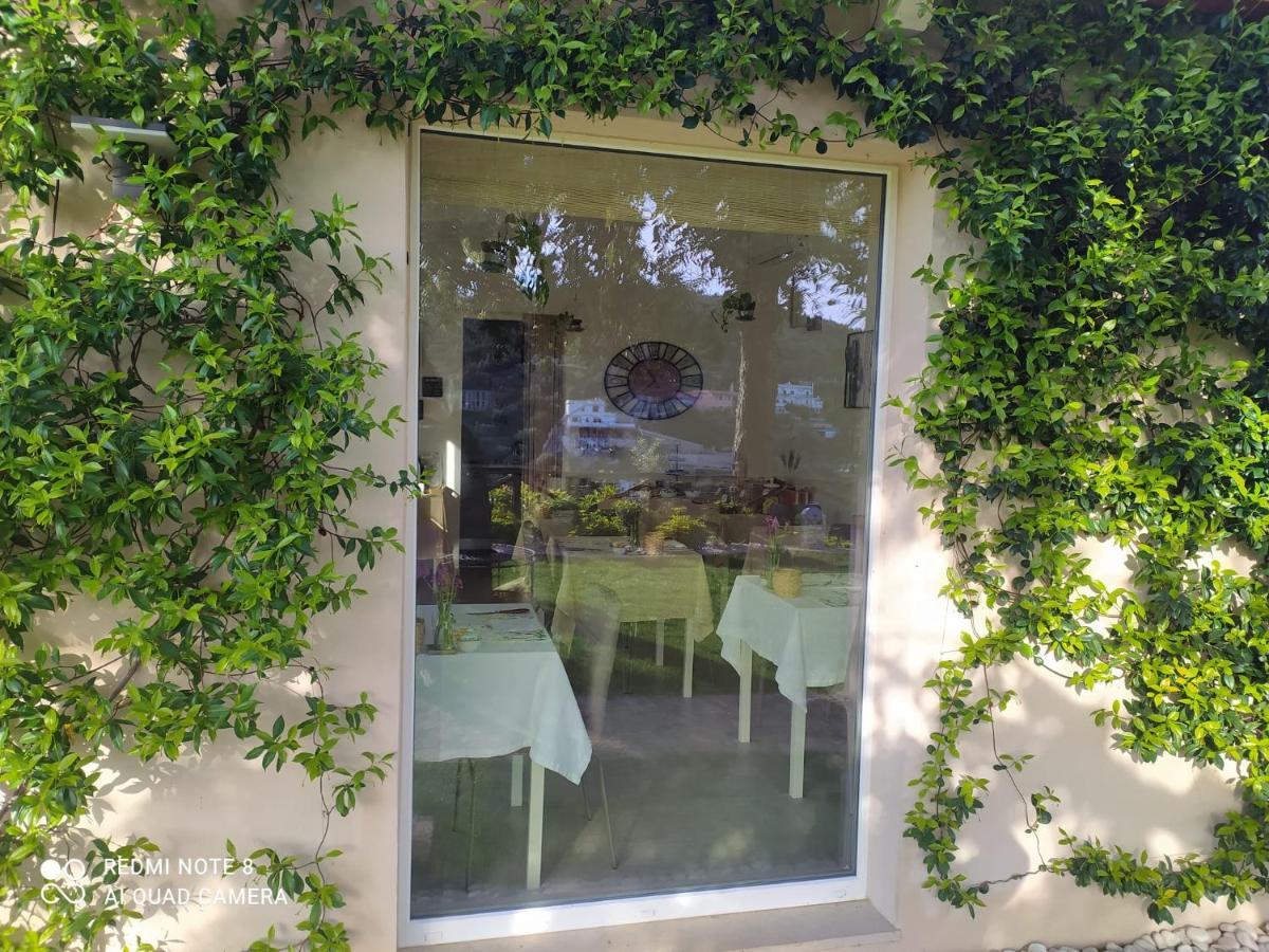 B&B Volver Peschici Ngoại thất bức ảnh
